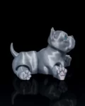 AMERICAN_BULLY_DOG_9_9911cfb6bc