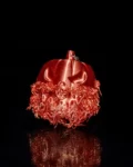 Hairy_Pumpkin_2_5c2873e261