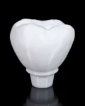 Mokomasis modelis Implantas