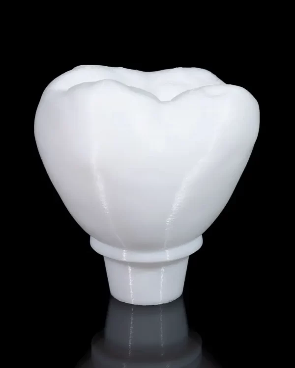 Mokomasis modelis Implantas