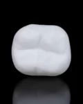 Mokomasis modelis Implantas