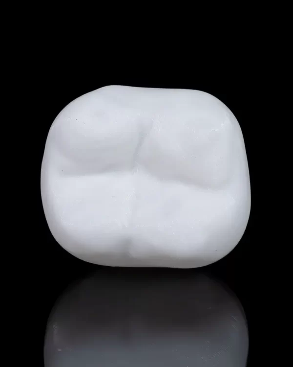 Mokomasis modelis Implantas